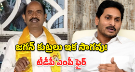 Protein Dosa: ప్రతి ఉదయం ఇలాంటి ప్రొటీన్ దోశ తింటే రోజంతా ఆరోగ్యమే