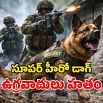 Army Dog Tyson: కశ్మీర్‌లో ఆశ్చర్యం.. శునకం కంటపడి.. ప్రాణాలు పోగొట్టుకున్న పాక్ ఉగ్రవాదులు!