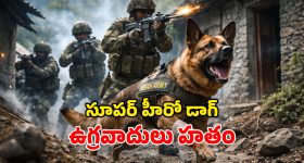 Army Dog Tyson: కశ్మీర్‌లో ఆశ్చర్యం.. శునకం కంటపడి.. ప్రాణాలు పోగొట్టుకున్న పాక్ ఉగ్రవాదులు!