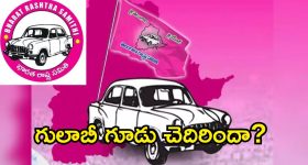 Payal Raj Puth: 12 ఏళ్ల కష్టం.. అంత ఈజీగా వదిలేస్తానా.. ట్రోల్స్ కి పాయల్ చెక్!