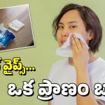 Wet Wipes: ఈ వెట్ వైప్స్‌తో చర్మాన్ని క్లీన్ చేసుకుంటున్నారా? జాగ్రత్త, ఇవి ఒకరి ప్రాణం తీశాయ్!