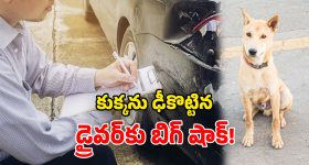 Gadwal Municipality Results: మున్సిపల్ పీఠం కోసం మొదలైన రాజకీయ చదరంగం.. ఆ ముగ్గురు కౌన్సిలర్లే గేమ్ చేంజర్లు!