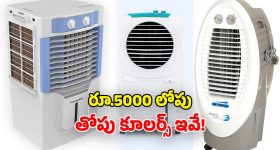 Municipal Elections: రేపు తెలంగాణలో మున్సిపల్ ఎన్నికల సందడి.. వారికి స్పెషల్ లీవ్, విద్యాసంస్థలకు సెలవు