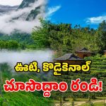 Summer Destinations: ఎత్తైన నీలగిరి కొండలు.. పచ్చని చెట్లు, అందమైన లోయలు.. ఈ వేసవికి బెస్ట్ టూరిస్ట్ స్పాట్స్!