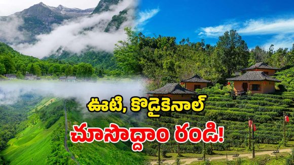 Summer Destinations: ఎత్తైన నీలగిరి కొండలు.. పచ్చని చెట్లు, అందమైన లోయలు.. ఈ వేసవికి బెస్ట్ టూరిస్ట్ స్పాట్స్!