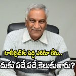 Thammareddy: తెలుగు సినిమా ఇండస్ట్రీకి ‘పెద్ద’ ఎవరూ లేరు! తమ్మారెడ్డి షాకింగ్ కామెంట్స్