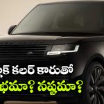 Black Colour Car: బ్లాక్ కారు కొనాలనుకుంటున్నారా? ఈ విషయాలు కచ్చితంగా తెలుసుకోవాలి!