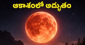Punarvika Sri Health Issue: ఒక్క ఇంజక్షన్ రూ 16 కోట్లు..  ఈ చిన్ని ప్రాణం కోసం దేశమే కదిలింది!