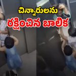 Viral Video: వారెవ్వా.. ఈ బాలిక తెగువ చూస్తే.. ఎవరైనా మెచ్చుకోవాల్సిందే!