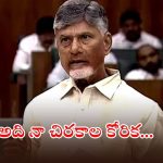 CM Chandrababu: కాళేశ్వరంకు మేం అభ్యంతరం చెప్పలేదు.. నల్లమల సాగర్‌కు వాళ్లు సహకరించాలి, సీఎం చంద్రబాబు కీలక వ్యాఖ్యలు