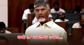 CM Chandrababu: కాళేశ్వరంకు మేం అభ్యంతరం చెప్పలేదు.. నల్లమల సాగర్‌కు వాళ్లు సహకరించాలి, సీఎం చంద్రబాబు కీలక వ్యాఖ్యలు
