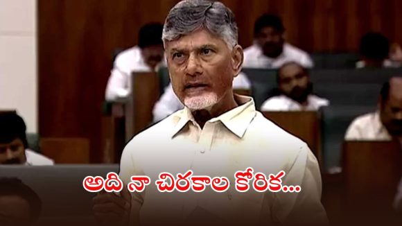 CM Chandrababu: కాళేశ్వరంకు మేం అభ్యంతరం చెప్పలేదు.. నల్లమల సాగర్‌కు వాళ్లు సహకరించాలి, సీఎం చంద్రబాబు కీలక వ్యాఖ్యలు