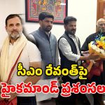 CM Revanth Reddy: దిల్లీ కాంగ్రెస్ పెద్దలతో సీఎం వరుస భేటీలు.. రాహుల్, ఖర్గేలకు నివేదికలు అందజేత