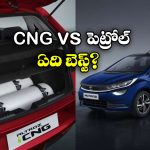 CNG vs Petrol Car:  సీఎన్జీ vs పెట్రోల్.. రోజు వారీ అవసరాలకు ఏ కారు బెస్ట్ అంటే?