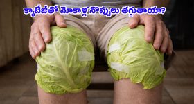 Cabbage Leaves: మోకాళ్ల నొప్పులకు క్యాబేజీ ఆకులు చుడితే తగ్గుతాయా? డాక్టర్లు చెబుతున్న అసలు నిజాలివే!