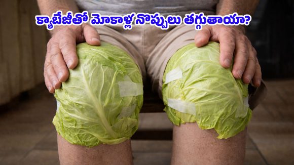 Cabbage Leaves: మోకాళ్ల నొప్పులకు క్యాబేజీ ఆకులు చుడితే తగ్గుతాయా? డాక్టర్లు చెబుతున్న అసలు నిజాలివే!