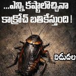 Cockroach: రాజమౌళి ‘ఈగ’తో.. ఈయన బొద్దింకతో సినిమా.. పిల్లల్ని చూడొద్దంటున్నారు!
