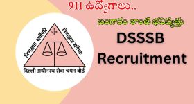DSSSB Recruitment: భారీ గుడ్ న్యూస్.. 911 ఉద్యోగాలకు నోటిఫికేషన్ రిలీజ్, ఈ క్వాలిఫికేషన్ ఉంటే ఉద్యోగం మీదే బ్రో..