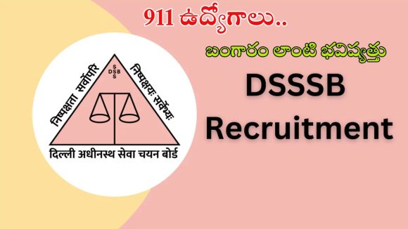 DSSSB Recruitment: భారీ గుడ్ న్యూస్.. 911 ఉద్యోగాలకు నోటిఫికేషన్ రిలీజ్, ఈ క్వాలిఫికేషన్ ఉంటే ఉద్యోగం మీదే బ్రో..