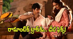 Anupama Parameswaran: కార్తికేయ 2 తరువాత దానికి దూరంగా అనుపమ...మళ్ళీ ఇన్నాళ్ళకు ఆ పని చేసిందా?