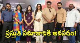 Sree Vishnu: చిరంజీవికి ఫ్యాన్ కానీ వారెవరు? అంటూనే జర్నలిస్ట్‌కి శ్రీ విష్ణు ఝలక్!