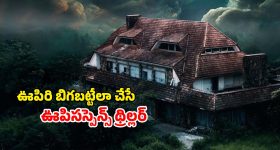 Horror thriller OTT : దెయ్యాల కొంపలో యూట్యూబర్లు... సీను సీనుకి చుక్కలు చూపిస్తూ... క్రేజీ హర్రర్ మూవీ