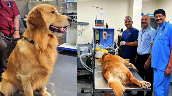 Doctor Saves Dog: కుక్కకు సర్జరీ.. ఢిల్లీ నుంచి ఫ్లైట్‌లో వచ్చిన డాక్టర్, విశాఖలో అరుదైన ఘటన