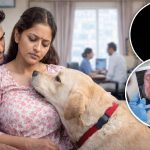 Dog and Cancer: వాసన చూసి క్యాన్సర్ కనిపెట్టిన పెంపుడు కుక్క, దంపతుల ప్రాణాలు దక్కాయి