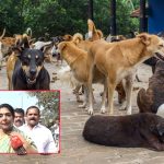 Dog Adoption: కేబీఆర్ పార్క్‌లో సందడిగా ‘డాగ్ అడాప్షన్ డ్రైవ్’.. 130 కుక్కలను దత్తత తీసుకున్న ఎంపీ!
