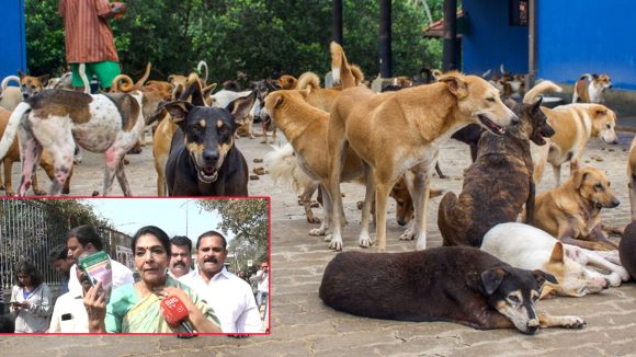 Dog Adoption: కేబీఆర్ పార్క్‌లో సందడిగా ‘డాగ్ అడాప్షన్ డ్రైవ్’.. 130 కుక్కలను దత్తత తీసుకున్న ఎంపీ!