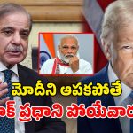 Donald Trump: భారత్‌ను ఆపకపోయుంటే.. పాక్ ప్రధాని చనిపోయేవారు.. ట్రంప్ షాకింగ్ కామెంట్స్