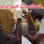 Elephant Attack: టెంపుల్‌లో గజరాజు బీభత్సం.. తొండంతో చుట్టేసి యువకుడిపై దాడి, వీడియో మస్త్ వైరల్