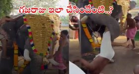 Vijay - Rashmika Wedding: రష్మిక - విజయ్ పెళ్లి ఫోటోలు.. ఎంత క్యూట్ గా ఉన్నారో..