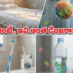 Everyday Items: టూత్ బ్రష్.. వాటర్ బాటిల్.. పిల్లో.. ఎన్ని రోజులకు ఒకసారి మార్చాలి? లేకపోతే ఏమవుతుంది?
