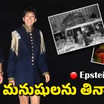 Epstein Files: వాళ్లంతా నరమాంసం తిన్నారా? ఏకంగా పిల్లలనే అలా.. ఇందులో నిజమెంత?