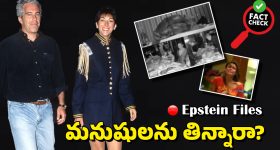 Municipal Elections: కొనసాగుతోన్న ఎన్నికల పోలింగ్ ప్రక్రియ.. మధ్యాహ్నం 3 గంటల వరకు 62శాతం పోలింగ్