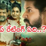 Telugu TV Serials: సీరియల్ లవర్స్ కు బ్యాడ్ న్యూస్.. ఆ రెండింటిని ఇక చూడలేరు…