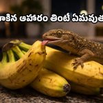 Food Safety: అరటి పండ్లను ఇలా వదిలేస్తున్నారా? బల్లి ఏం చేసిందో మీరే చూడండి!