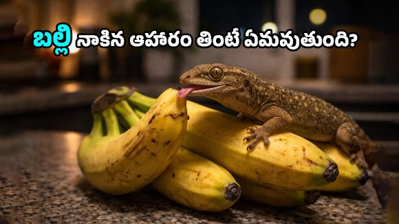Food Safety: అరటి పండ్లను ఇలా వదిలేస్తున్నారా? బల్లి ఏం చేసిందో మీరే చూడండి!