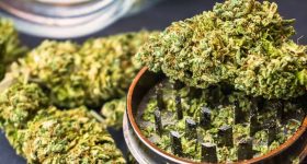 Ganja Racket: విద్యార్థులే టార్గెట్.. మైనర్లతో గంజాయి దందా.. నిజామాబాద్ ముఠా ఆగడాలపై సీపీ సీరియస్
