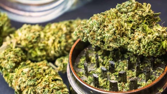 Ganja Racket: విద్యార్థులే టార్గెట్.. మైనర్లతో గంజాయి దందా.. నిజామాబాద్ ముఠా ఆగడాలపై సీపీ సీరియస్