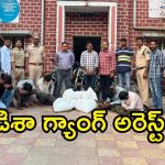 Ganja Seized: ధూల్‌పేటలో గంజాయి దందా గుట్టురట్టు.. ఎక్సయిజ్ పోలీసుల స్పెషల్ ఆపరేషన్!