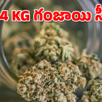 Ganja Seizure: హైదరాబాద్ డ్రగ్స్ నెట్‌వర్క్ గుట్టురట్టు.. ఆ ఫోన్ కాల్‌తో.. కట్ చేస్తే!