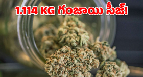 Collector Santosh: ఇంటర్మీడియట్ పబ్లిక్ పరీక్షలకు ఎలాంటి పొరపాట్లకు తావులేదు : కలెక్టర్ సంతోష్