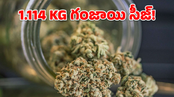 Ganja Seizure: హైదరాబాద్ డ్రగ్స్ నెట్‌వర్క్ గుట్టురట్టు.. ఆ ఫోన్ కాల్‌తో.. కట్ చేస్తే!