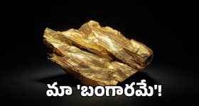 East Godavari: తూ.గో జిల్లాలో పెద్ద పులి సంచారం.. రాత్రంతా పాడుబడిన ఇంట్లోనే.. ఆపరేషన్ టైగర్ షురూ