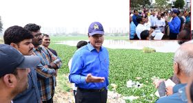 HYDRAA: మురుగు నీరు మాయం.. వాకింగ్ ట్రాక్‌లు సిద్ధం.. చెరువుల సుందరీకరణపై హైడ్రా ఫోకస్