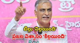 Sree vishnu: విష్ణు విన్యాసం, మృత్యుంజయ విడుదలపై శ్రీ విష్ణు క్లారిటీ.. బయటపడ్డానంటూ!