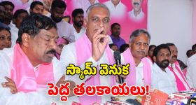 Ragi for Diabetes: రాగులతో డయాబెటిస్ కంట్రోల్.. ఇలా తింటే బోలెడు బెనిఫిట్స్