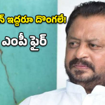 Harsha Kumar: పరకామణి చోరీ కేసులో అసలు దొంగలెవరు? చంద్రబాబు వైఖరిపై హర్షకుమార్ ఫైర్!